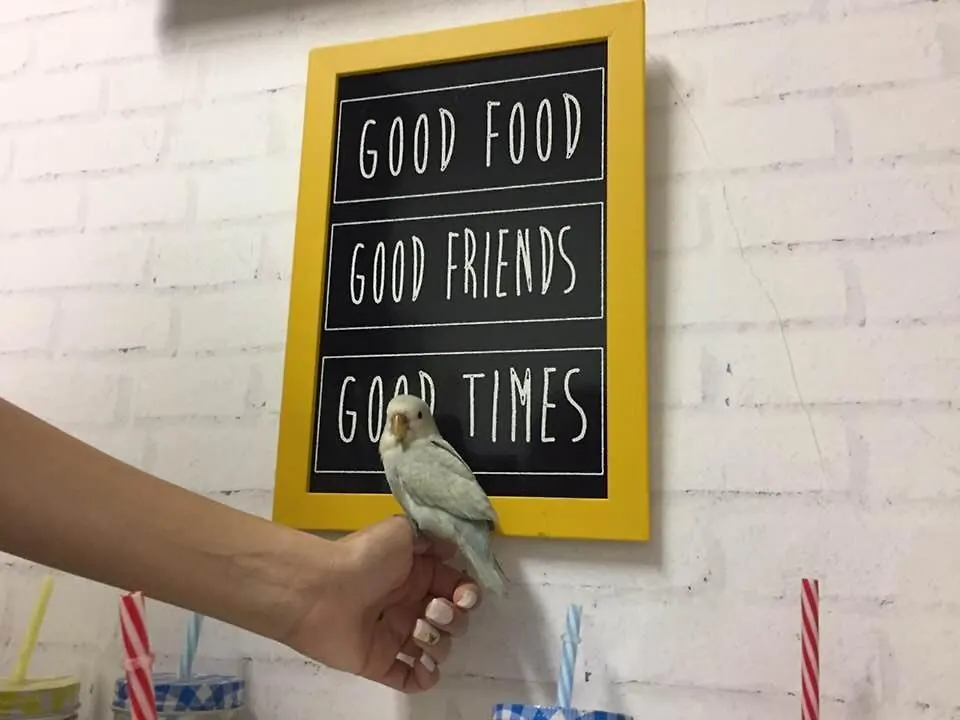 Friends Hostel Paulista , Сан-Пауло Отель типа 